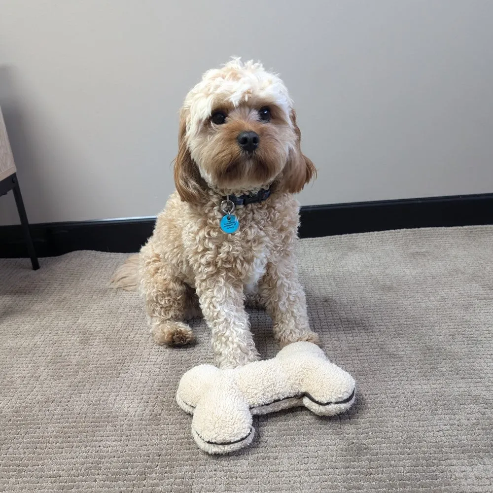 All For Paws Lambswool 9" Plush Bone