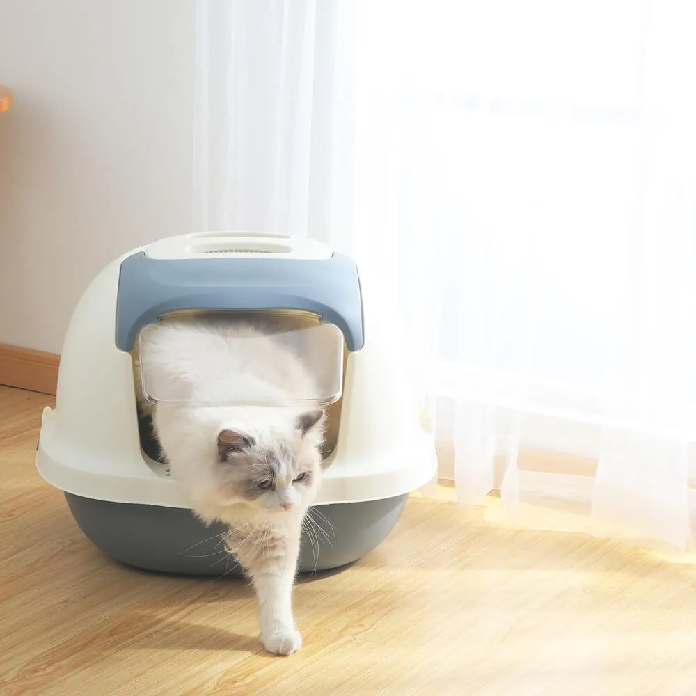 AllPetSolutions Grey Cat Litter Box with Lid