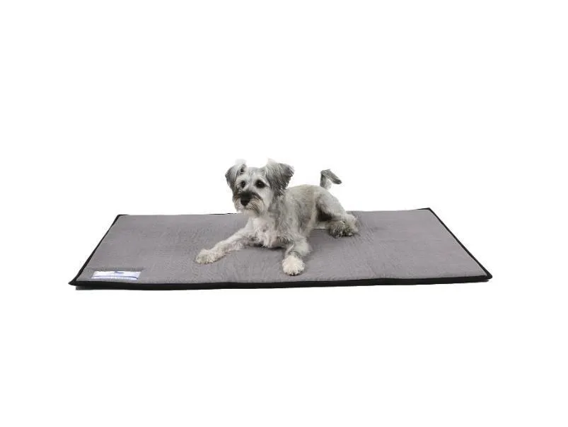 Dog Day Mat (Small) Memory Foam