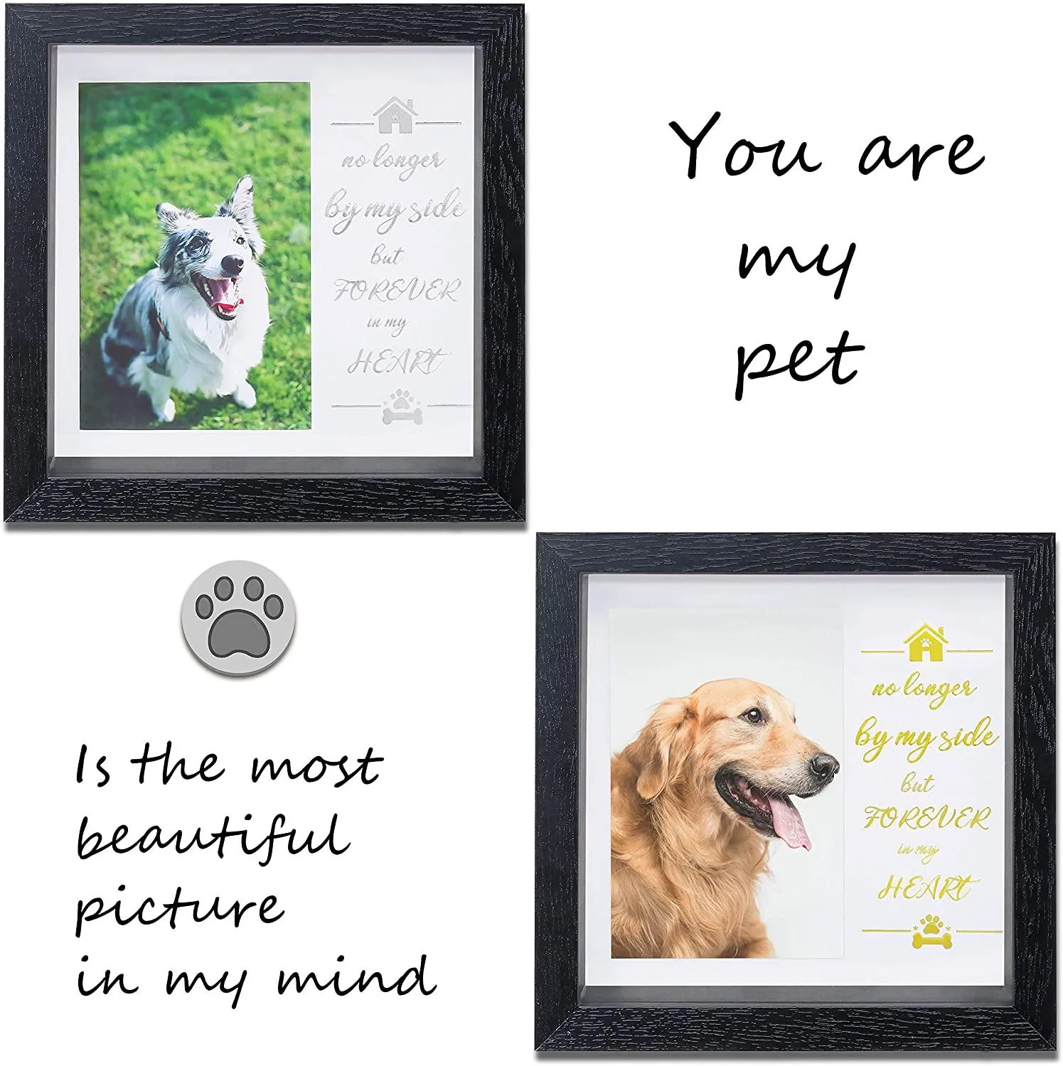 Dog Memorial Sentiment Frame,Pet Collar Frame Remembrance Sympathy Dog