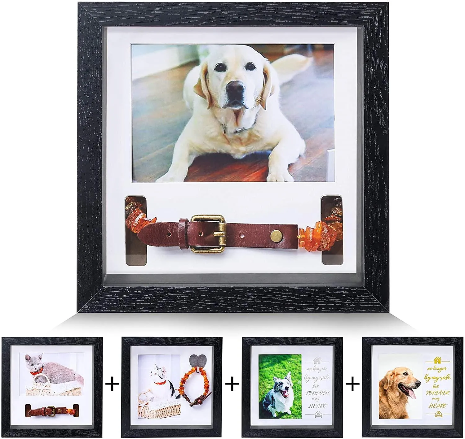 Dog Memorial Sentiment Frame,Pet Collar Frame Remembrance Sympathy Dog