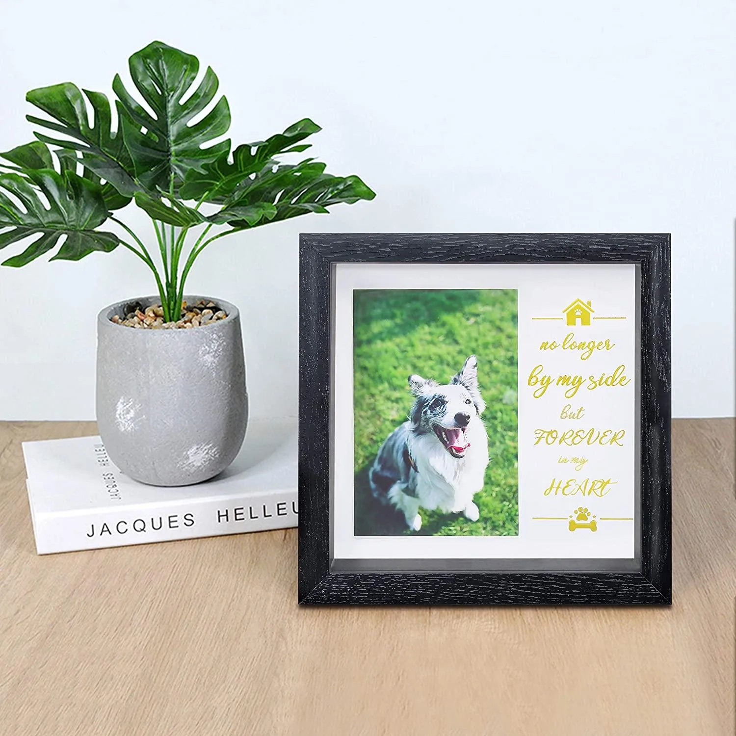 Dog Memorial Sentiment Frame,Pet Collar Frame Remembrance Sympathy Dog