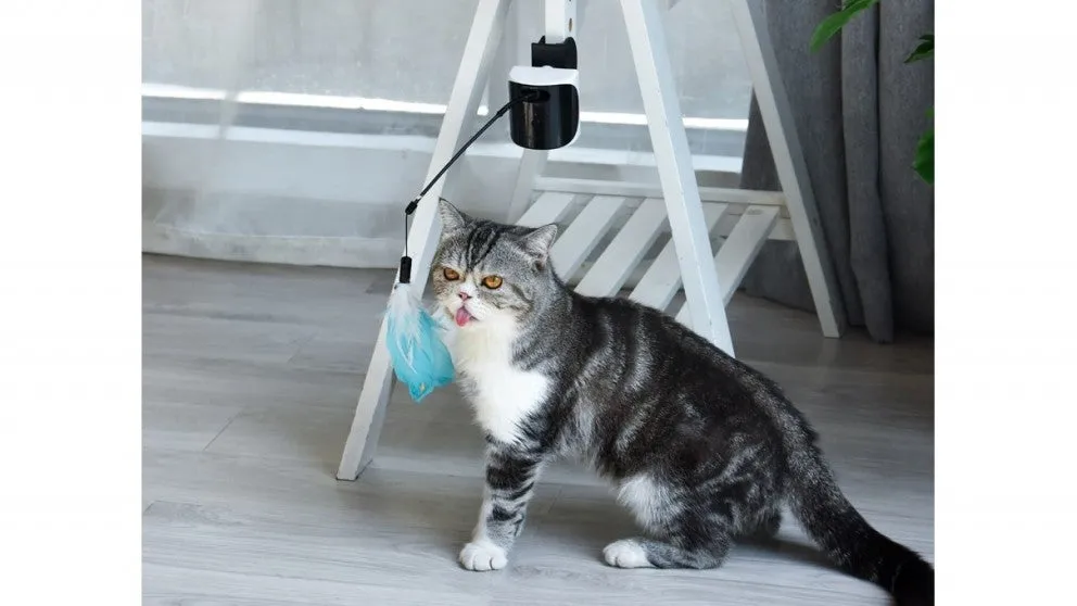 Dogness Cat Feather Laser Teaser/ 3 Adjustable Tease Functions