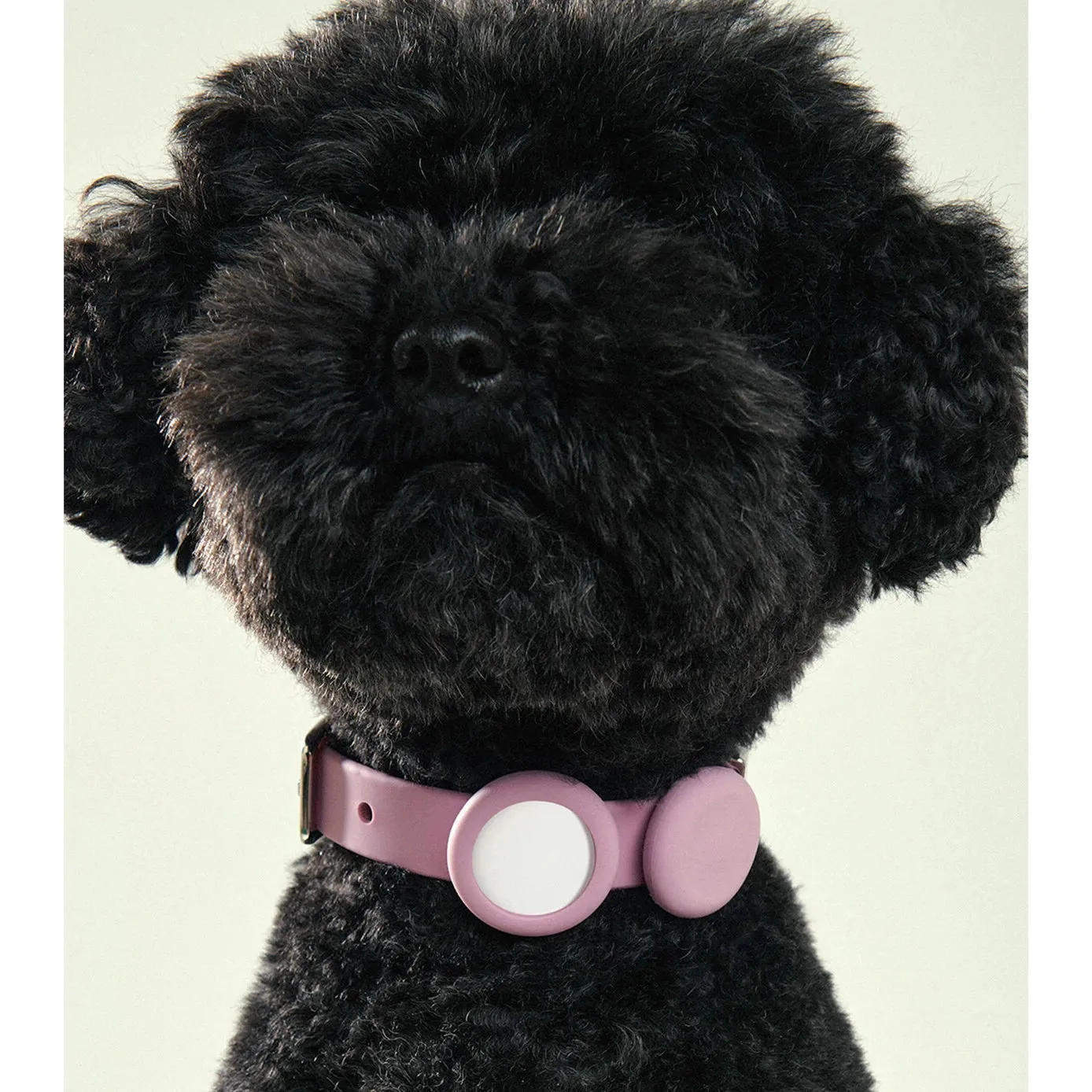 frank green Blushed Dog Safety Light Large^^^