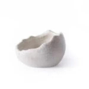 Galápagos Egg Dishes