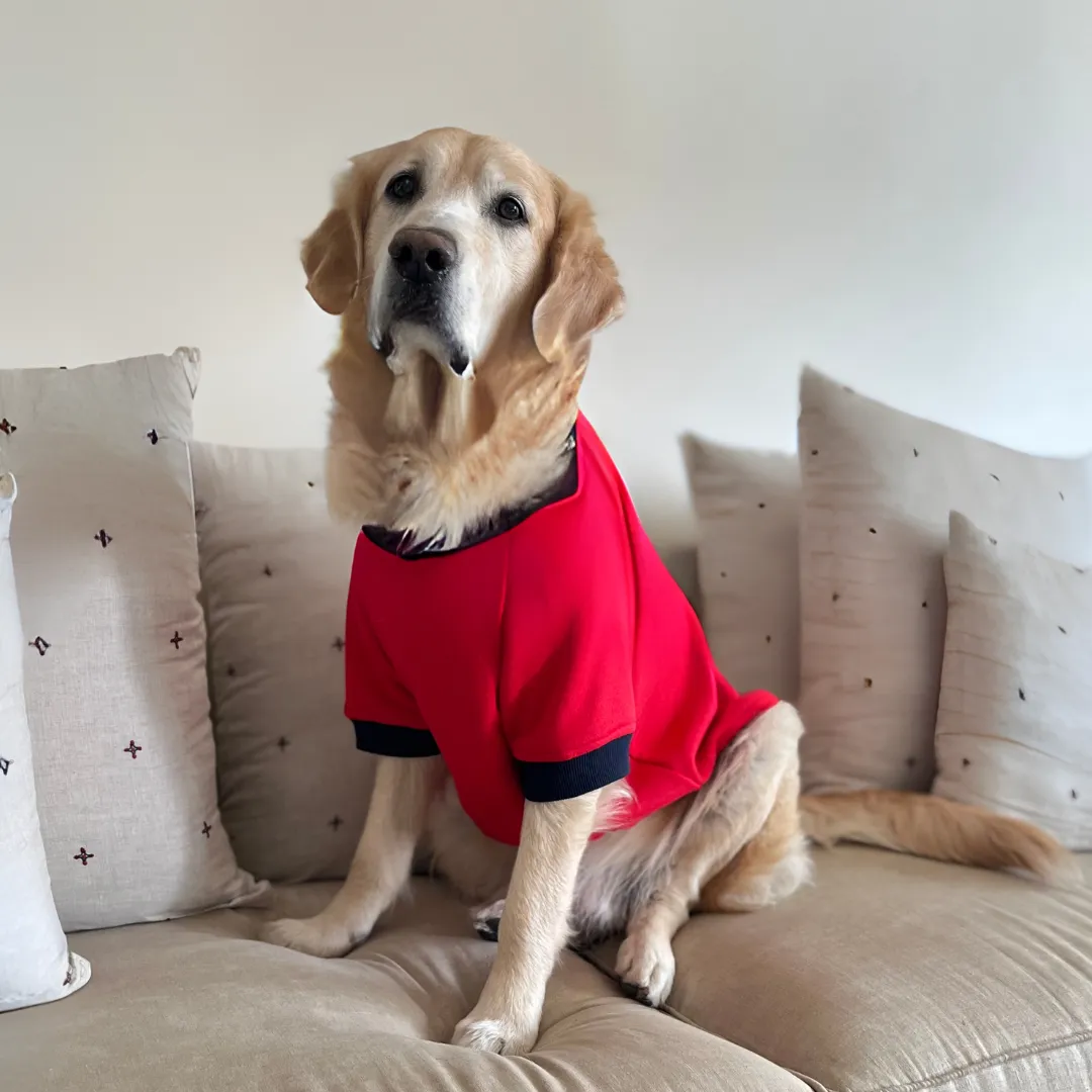 PoochMate Red Dog Sweatshirt